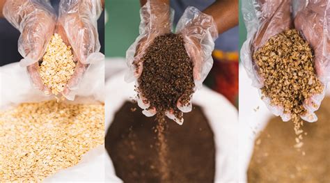 What Are Cereals? Different Types of Cereals List With Benefits ...
