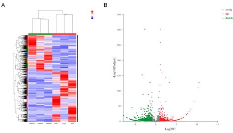 Expression Profile Analysis of Circular RNAs in Leishmaniasis