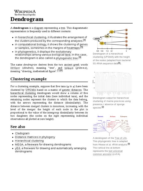 Image result for Dendrogram Template
