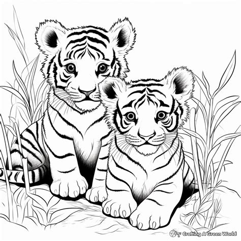 Tiger Cub Coloring Pages - Free & Printable!