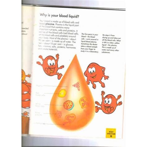 Kids - Early Skill Building - How my body works - The Blood Platelets ...