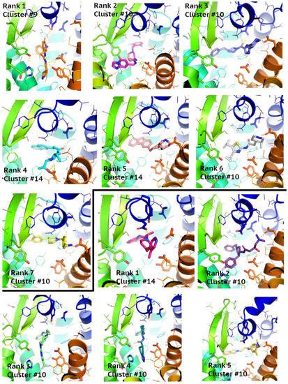 Chemokine Receptors—Structure-Based Virtual Screening Assisted by ...