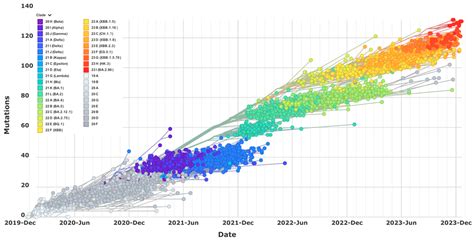 Current Covid Strain