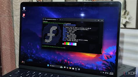 WSL Example 的图像结果
