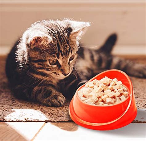 Fish Chunks in Gravy, Wet Cat Food for Adults and Kittens