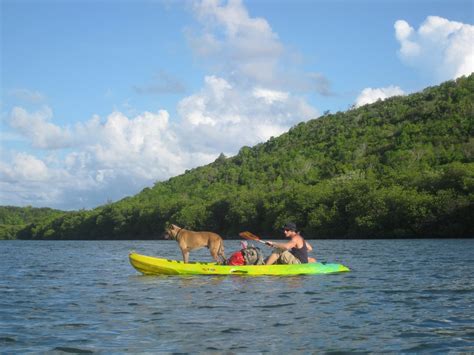 AQUA FRENZY KAYAKS (2025) All You Need to Know BEFORE You Go (with ...