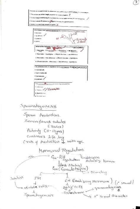 Image result for Human Reproduction Class 12 Seep