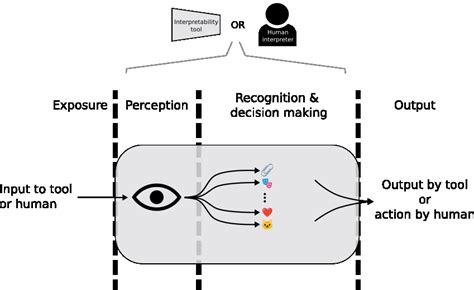 Information Type 的图像结果