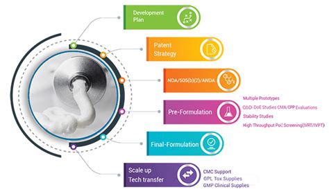 Image result for Topical Formulation Development Decison Tree