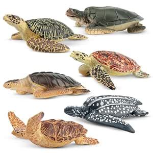 Buy TOYMANY 6PCS Realistic Sea Turtle Figurines, Plastic Ocean Sea ...