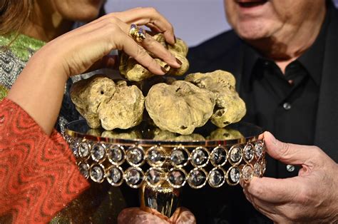 Most Expensive Truffle Mushroom