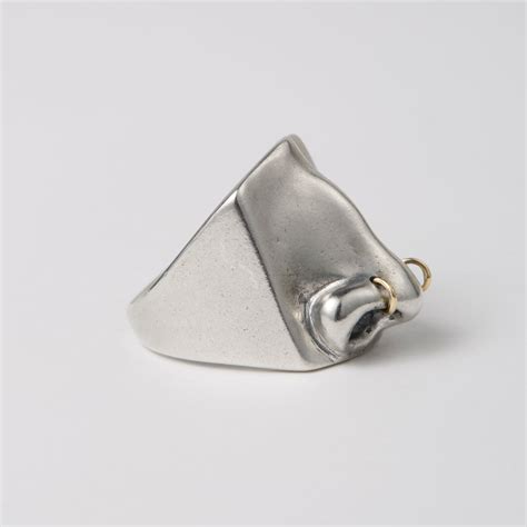 Dennis Rodman Ring | Dennis rodman, Nose ring, Rings