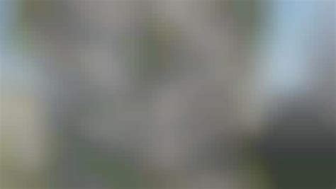 Open-Air Offices : Offices With Terraces