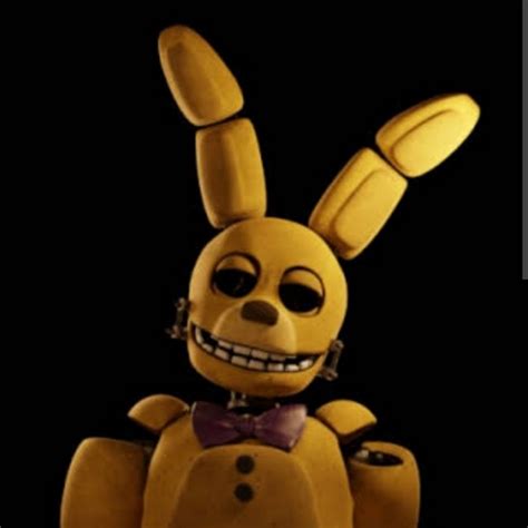 Image result for Spring Bonnie Song