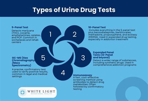 Urine Drug Test (UDT): Definition, Types & How It Works