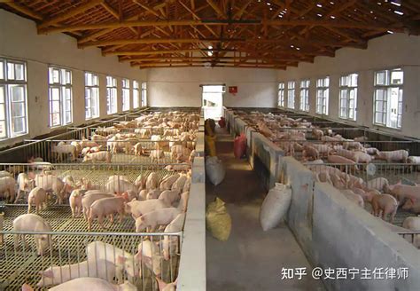 生态养殖_广西华兴食品集团有限公司