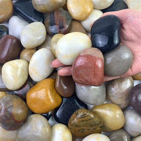 Amazon.com: FANTIAN 5 lbs Large River Rocks for Plants, 2-3 inch ...
