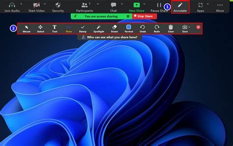 Zoom Annotation Tools 的图像结果