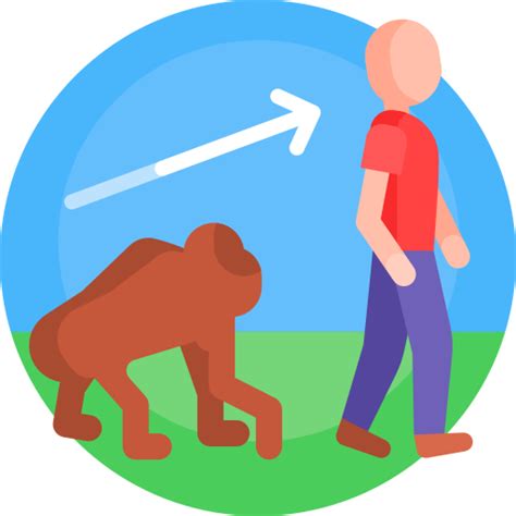 Evolution Icon 的图像结果