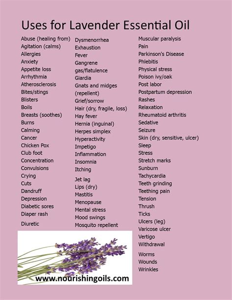 Learn about the TOP 7 LAVENDER Oil BENEFITS. LAVENDER DIY Recipes Ways ...