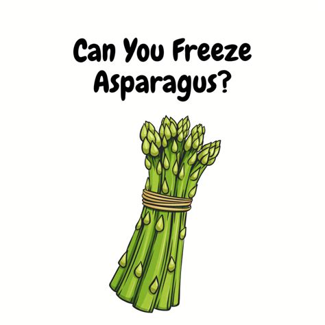 Can You Freeze Asparagus? Here's How