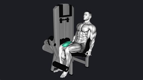 Single Leg Leg Extension Alternative at Faith Tart blog