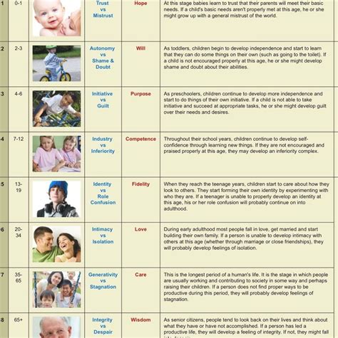8 Stages of Development with Age 的图像结果