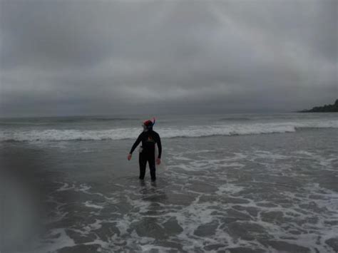 NATURE WORKSHOPS (Redruth) - What to Know Before You Go