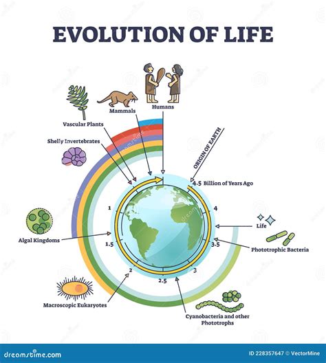 Life Science Evolution 的图像结果