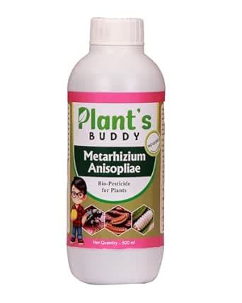 PLANT'S BUDDY Metarhizium Anisopliae Liquid (2×10⁹ CFU/ml) - 500ml ...