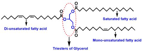 Nonedible Vegetable Oil-Based Polyols in Anticorrosive and ...