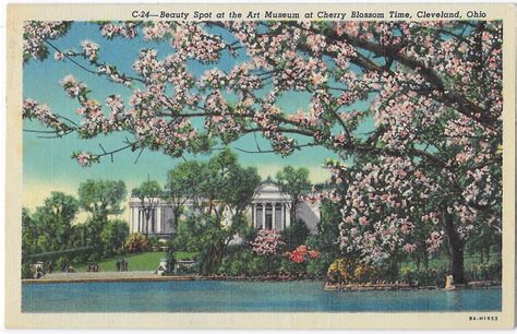 Art Museum Built 1916 Cherry Blossom Time Cleveland Ohio | United ...