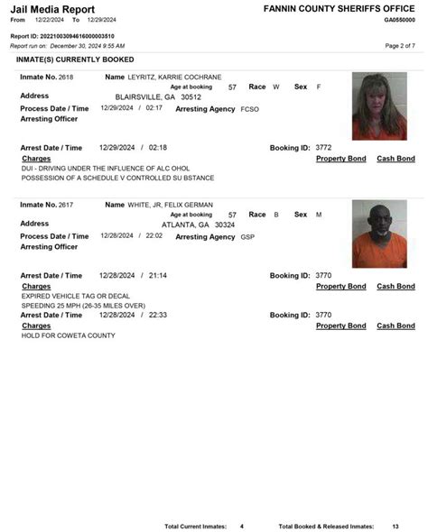 Fannin County Sheriff's Office Arrest Report 12/22 - 12/29/2024 ...