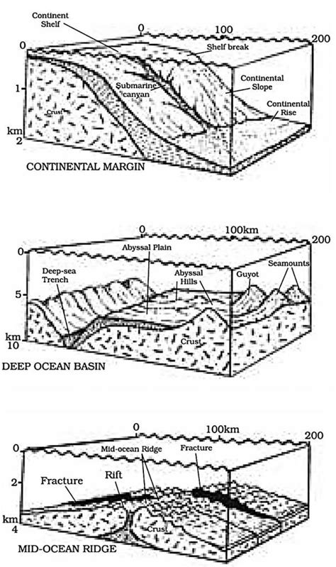 Sea Floor 的图像结果
