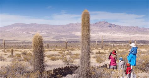 Feriados junio 2025: la semana laboral de tres días que dejará dos ...