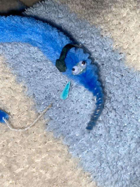 Image result for Fuzzy Worm On a String