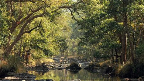 Wild Madhya Pradesh: Incredible reasons to visit Kanha National Park ...