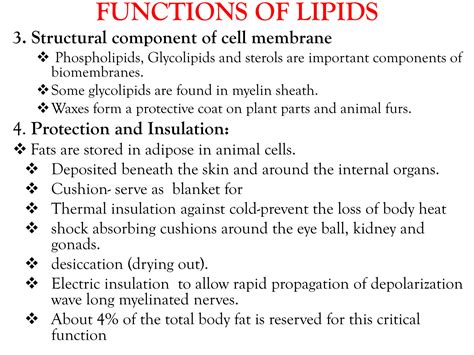 SOLUTION: 1 structure and function of lipids - Studypool