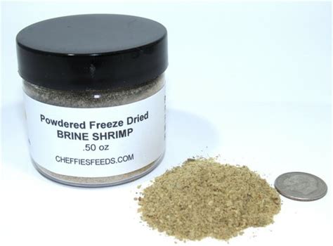 Buy BRINE SHRIMP FRY FOOD Powdered Freeze Dried feed for baby fish ...
