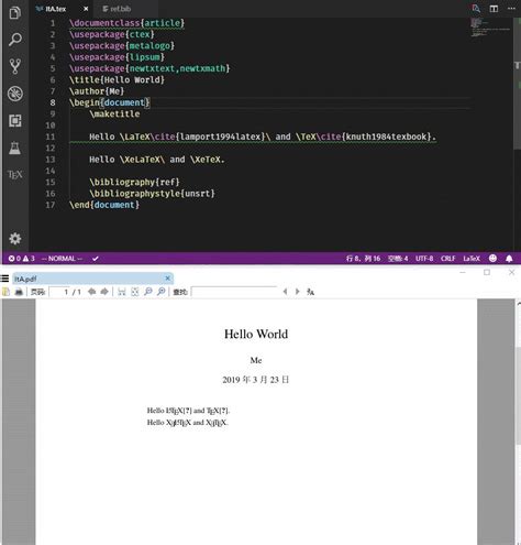Latex Editing Tips VSCode 的图像结果