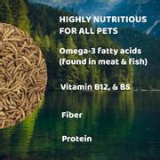 Buy Downtown Pet Supply Dried Mealworms for Birds, Chicken Feed, 5 Lb ...