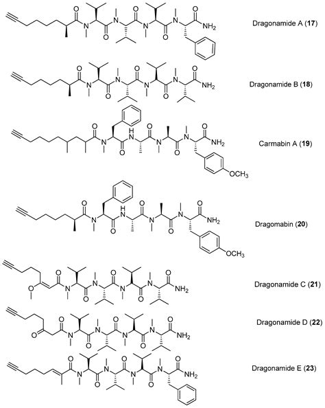 New Peptides Isolated from Marine Cyanobacteria, an Overview over the ...