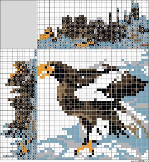 Colour Japanese crossword «Steller's Sea Eagle»