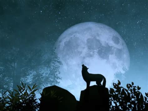 All about the Wolf Moon 2025-How to catch the first full moon of the ...