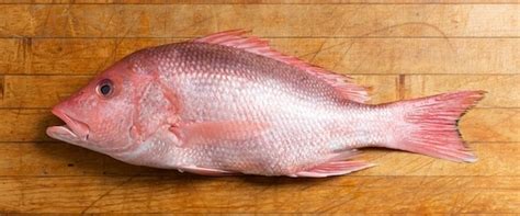 A Guide to the Hottest Peppers in the World