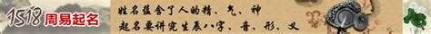 我国汉族公民最长姓名达15字 公安部：起名不规范会有不便_1518起名网