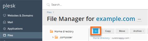 Image result for How to Design Website Using File Manager in Plesk