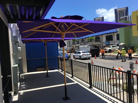 Anytime Fitness | Tropical J's