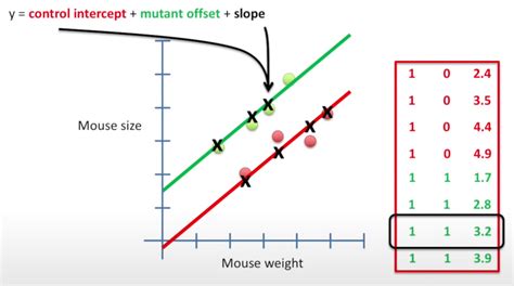 Design Matrix 的图像结果