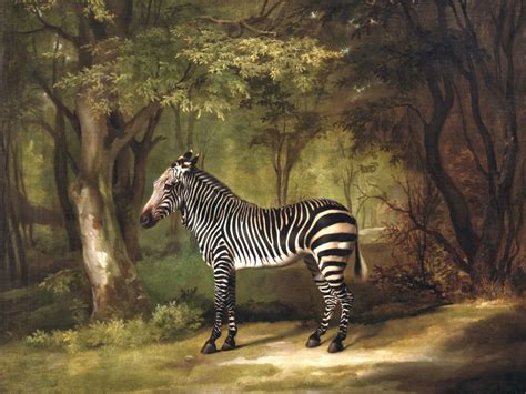Zebra Jigsaw Puzzle